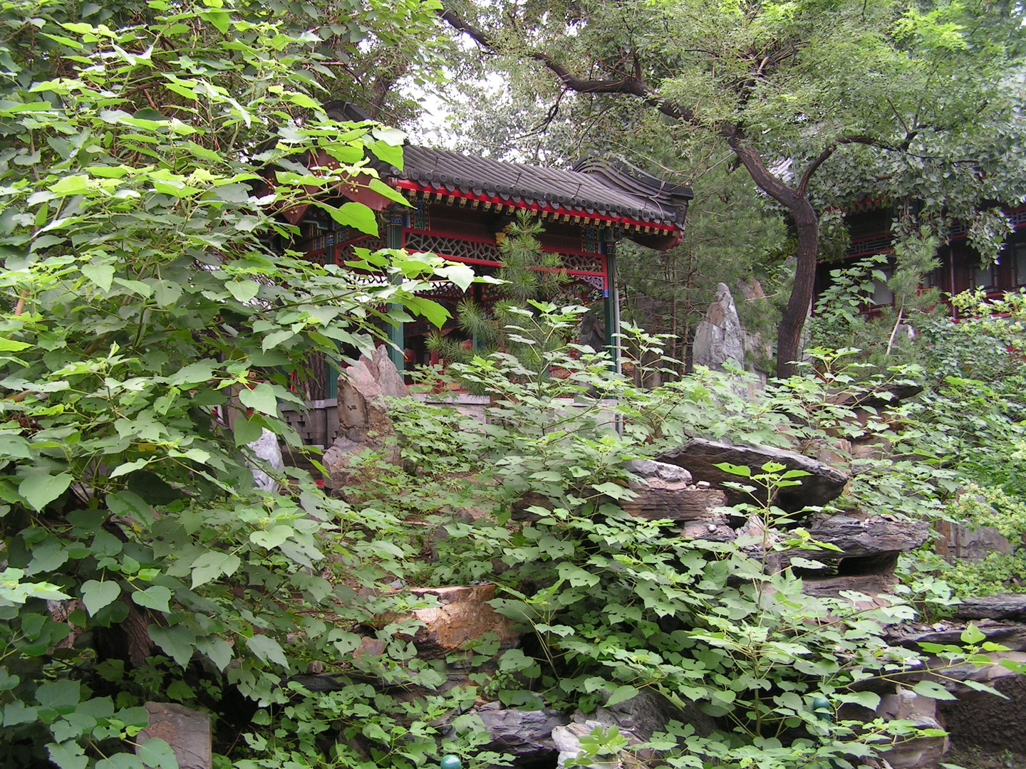 Beijing_20060731_036.jpg
